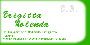 brigitta molenda business card